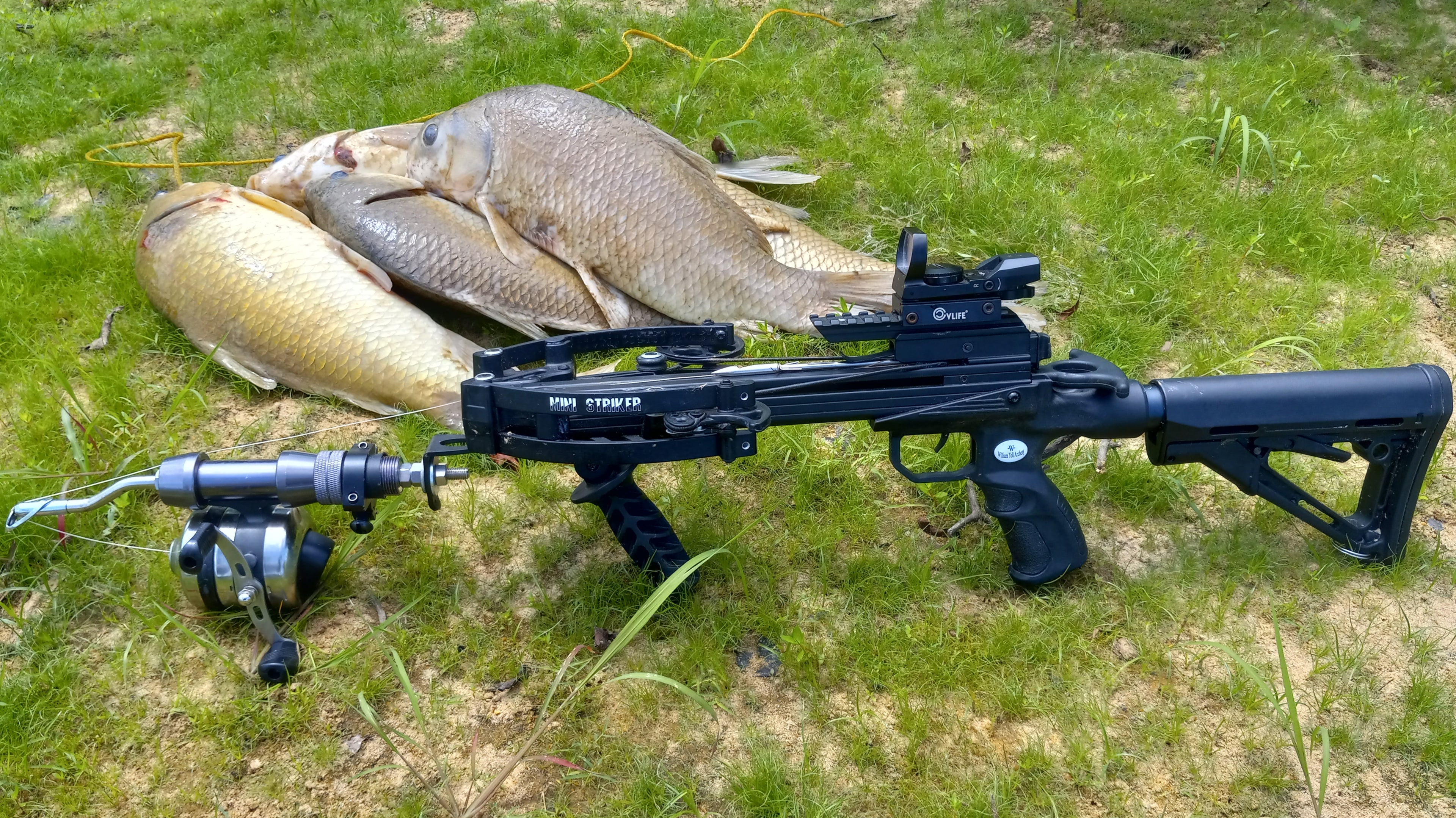 Squirrel Hunting with the Ballista Bat Mini Crossbow 