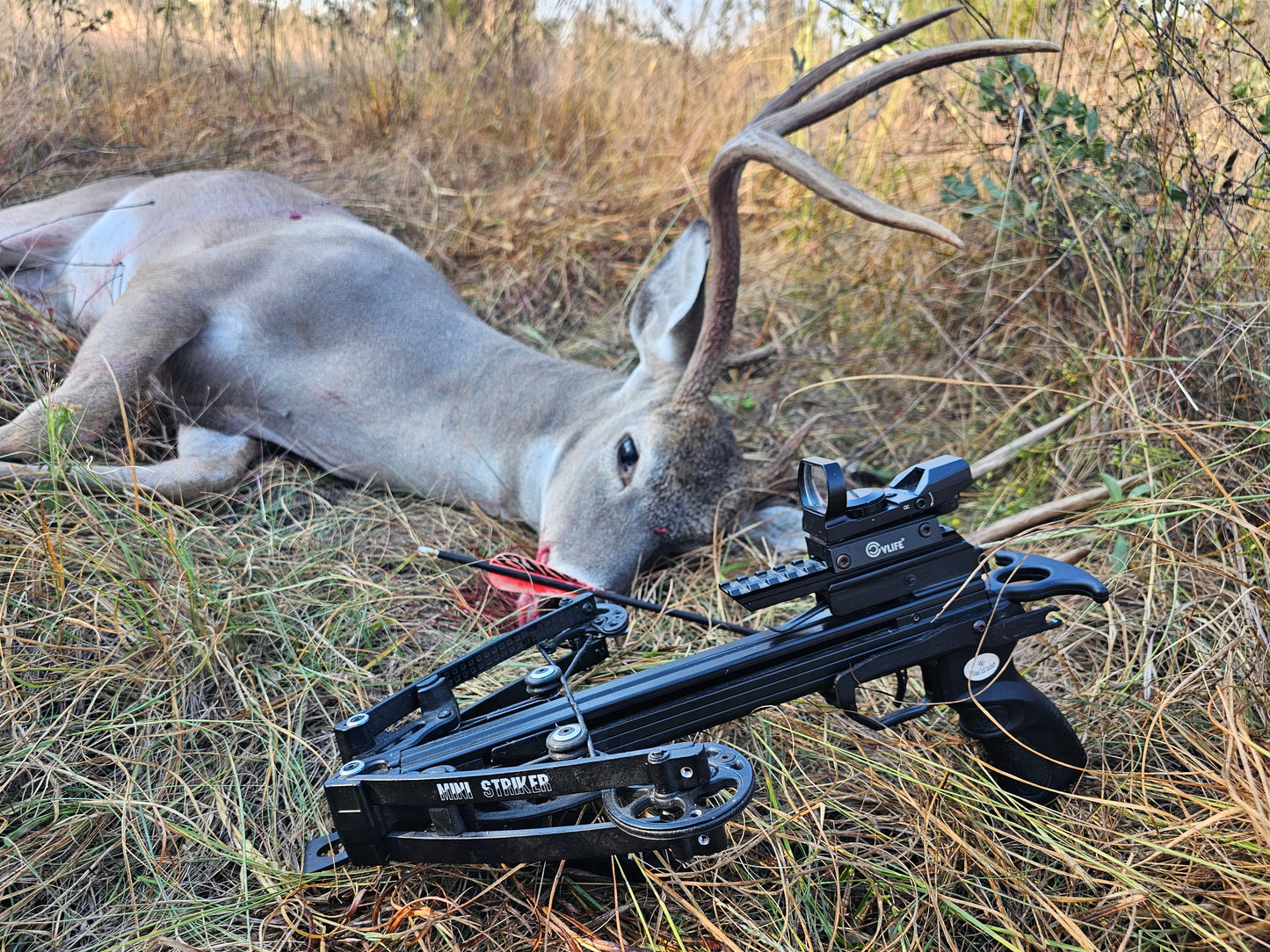 14 or 16 Inch Hunting Bolt (Stainless Steel Insert)