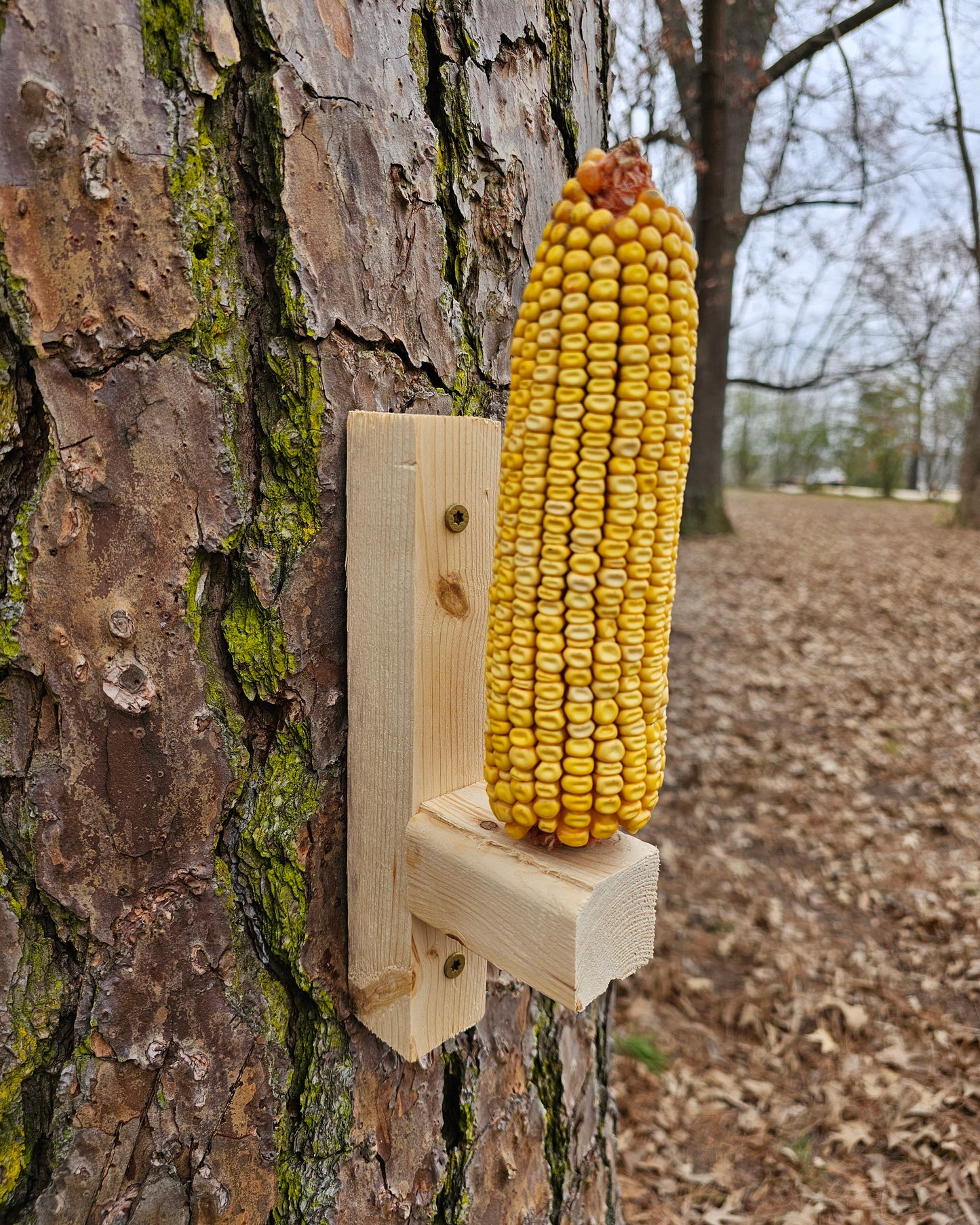 Corn Cob Squirrel Feeder