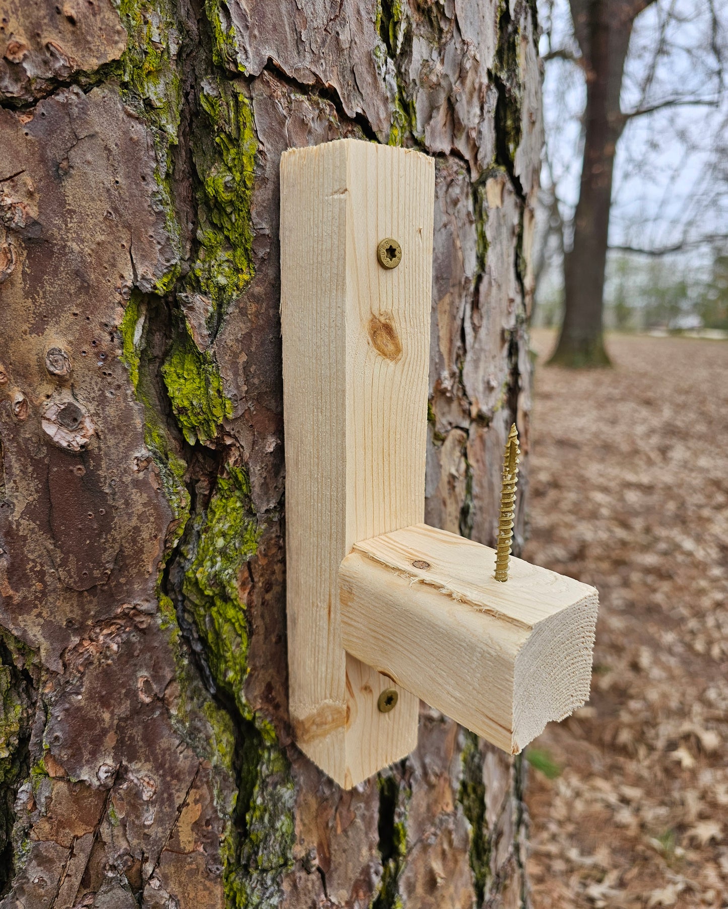 Corn Cob Squirrel Feeder