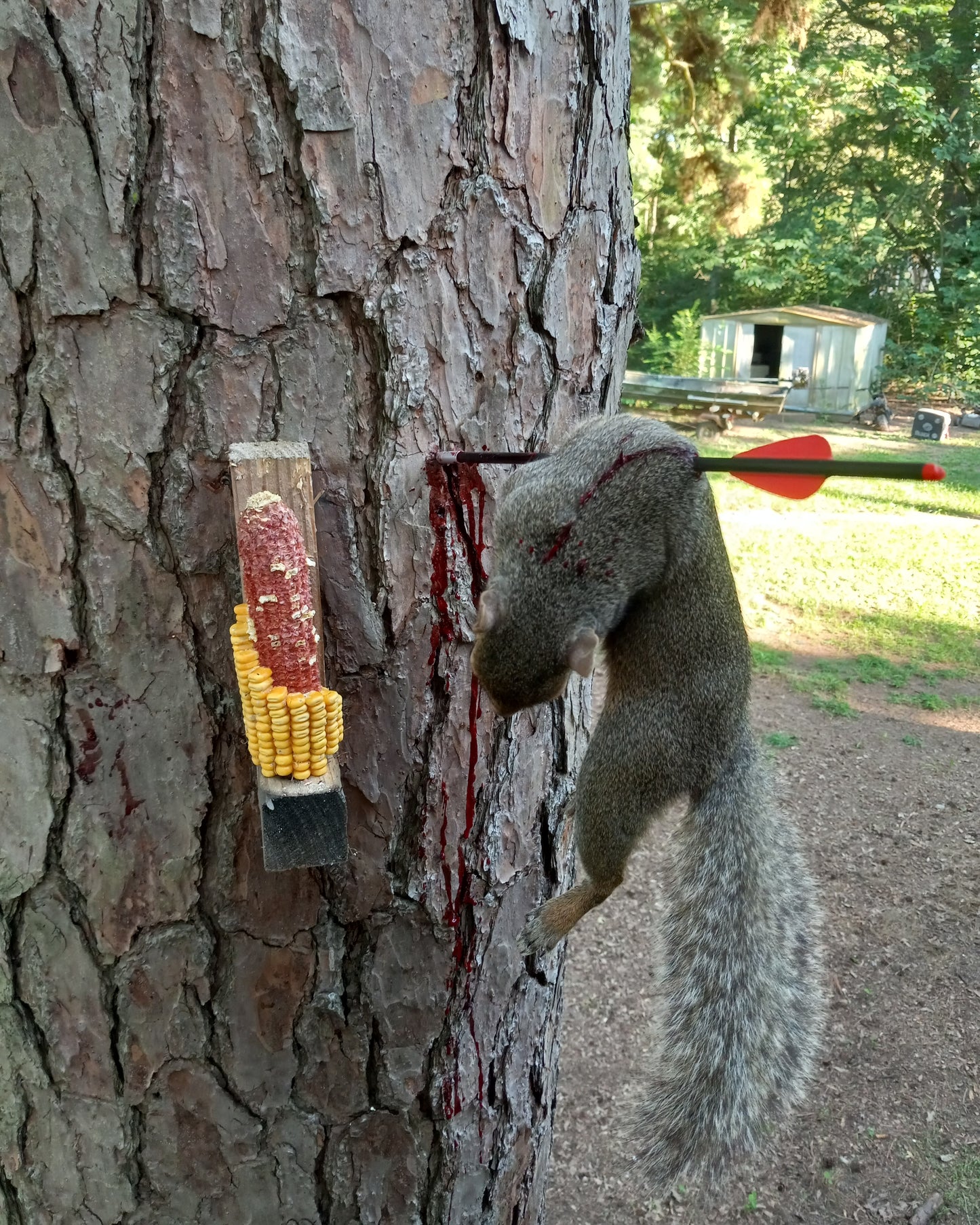 Corn Cob Squirrel Feeder